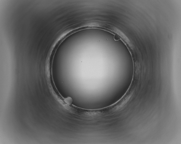 X0000110770939200906221139