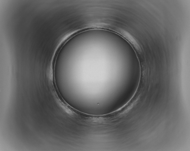 X0000110770940200906221139