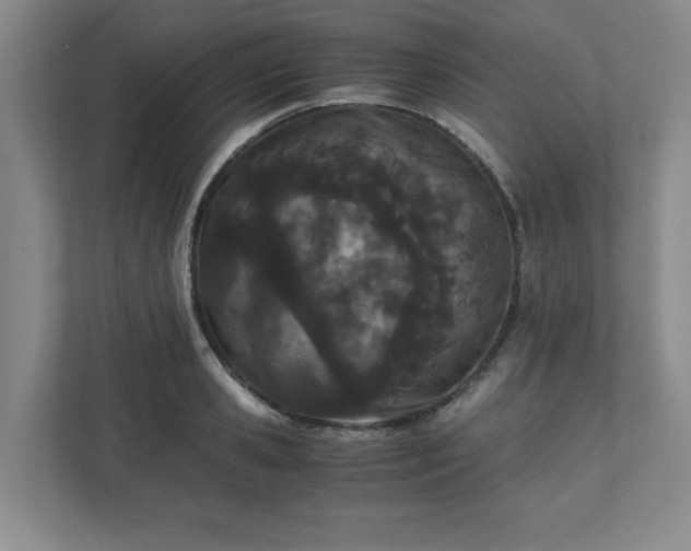 X0000110770941200906221139