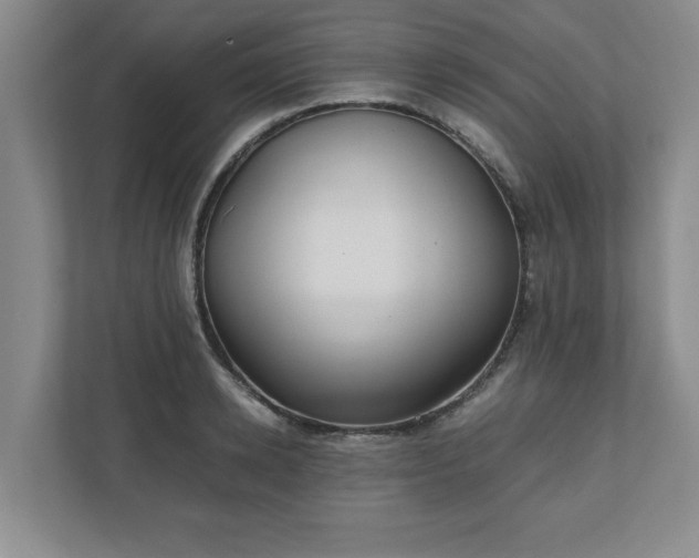 X0000110770942200906221139