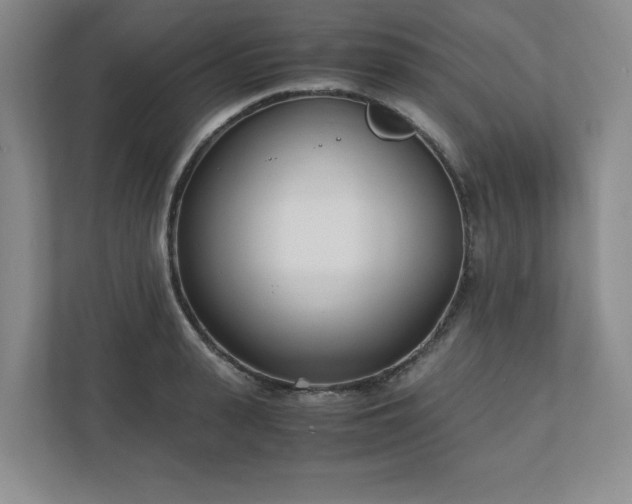 X0000110770943200906221139