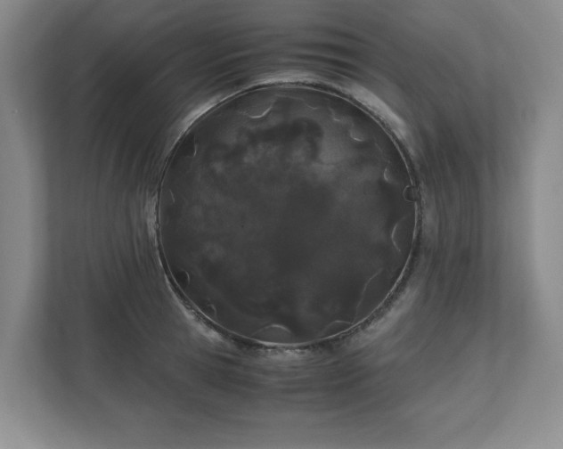 X0000110770945200906221139