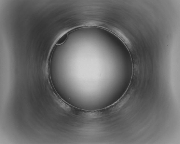 X0000110770948200906221139