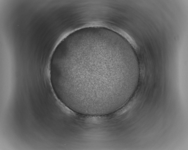 X0000110770950200906221139