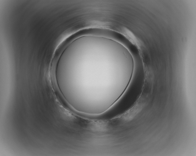 X0000110770952200906221139