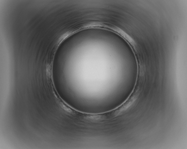 X0000110770953200906221139