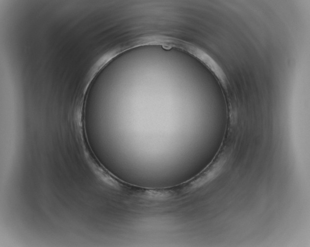 X0000110770954200906221139