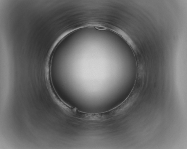 X0000110770955200906221139