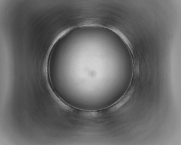 X0000110770957200906221139