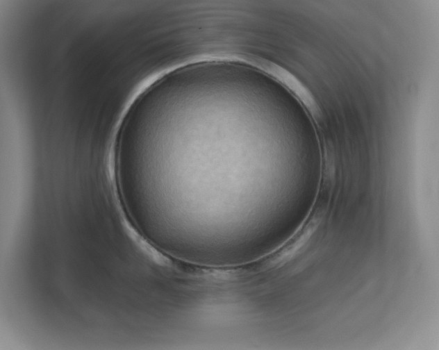 X0000110770958200906221139