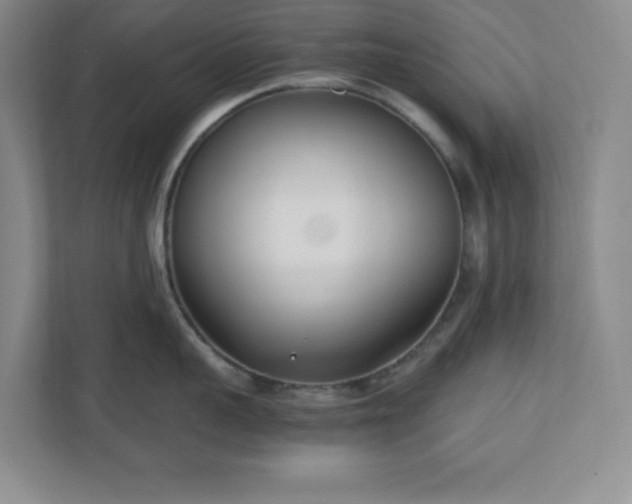 X0000110770959200906221139