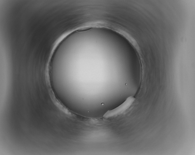 X0000110770960200906221139