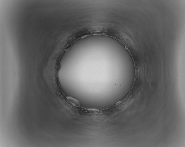 X0000110770961200906221139