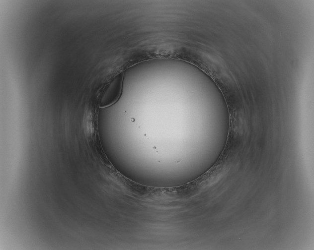 X0000110770962200906221139