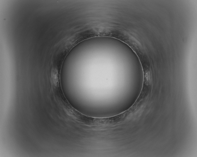 X0000110770963200906221139