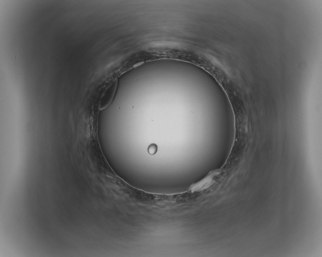 X0000110770965200906221139