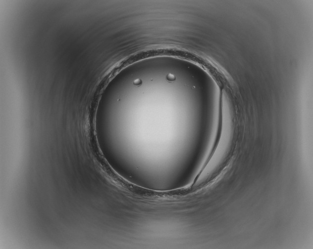 X0000110770969200906221139