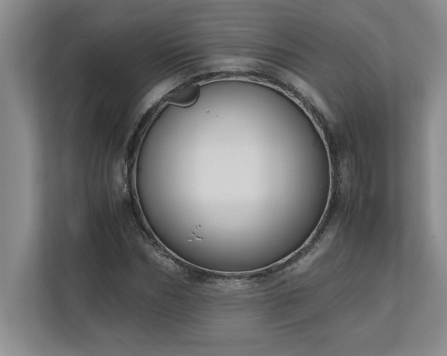 X0000110770970200906221139