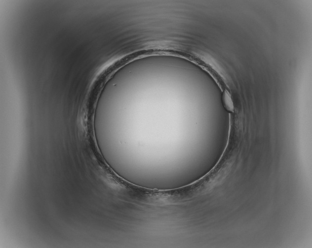 X0000110770971200906221139