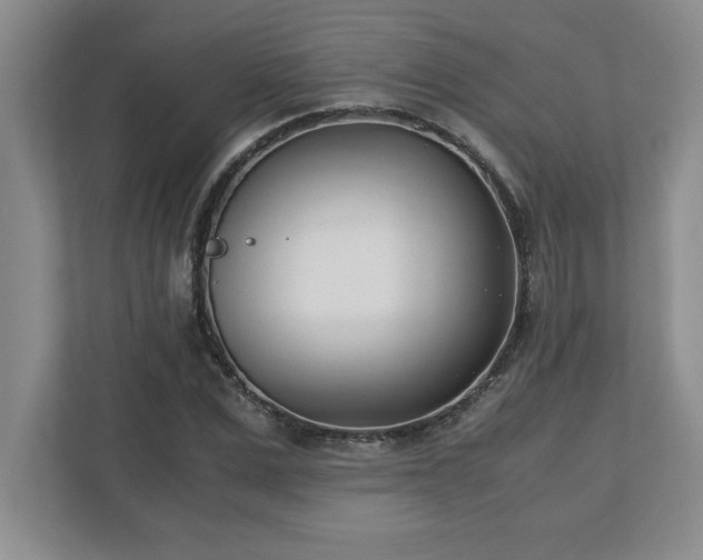 X0000110770975200906221139