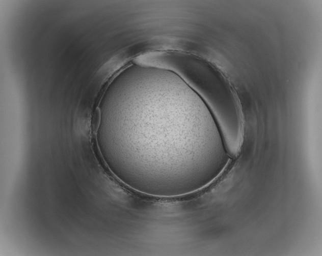 X0000110770977200906221139