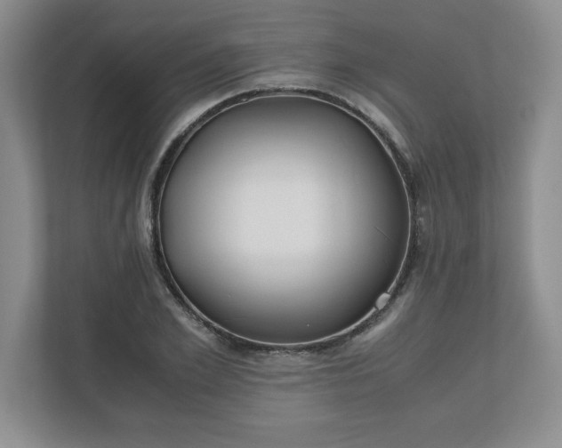 X0000110770981200906221139