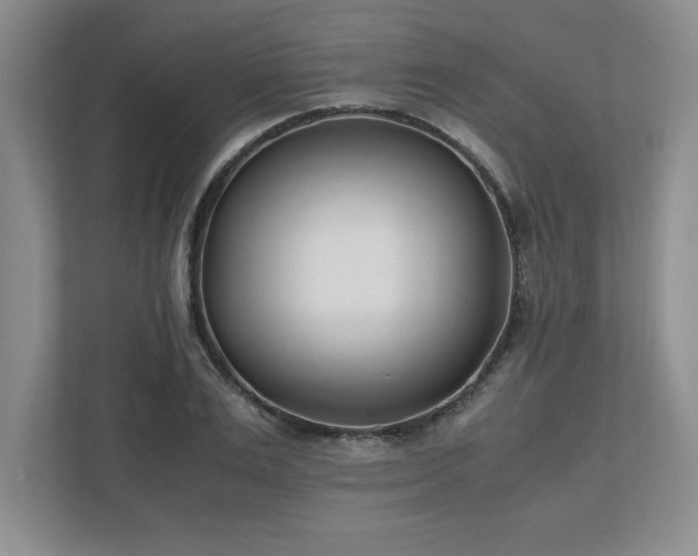 X0000110770983200906221138