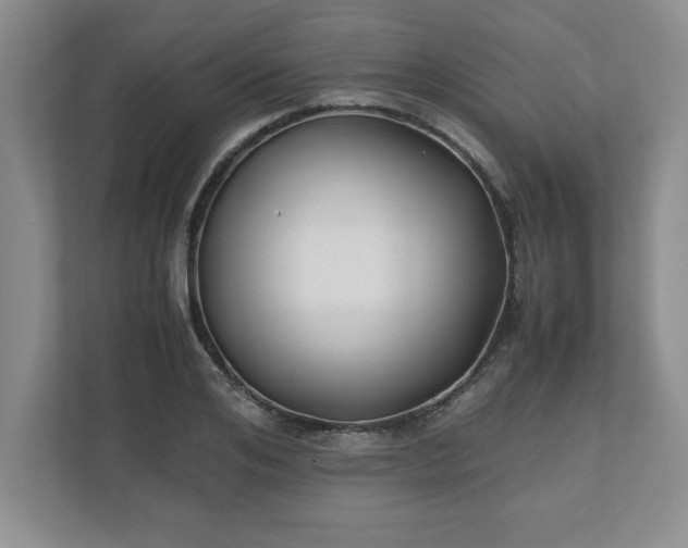 X0000110770984200906221138