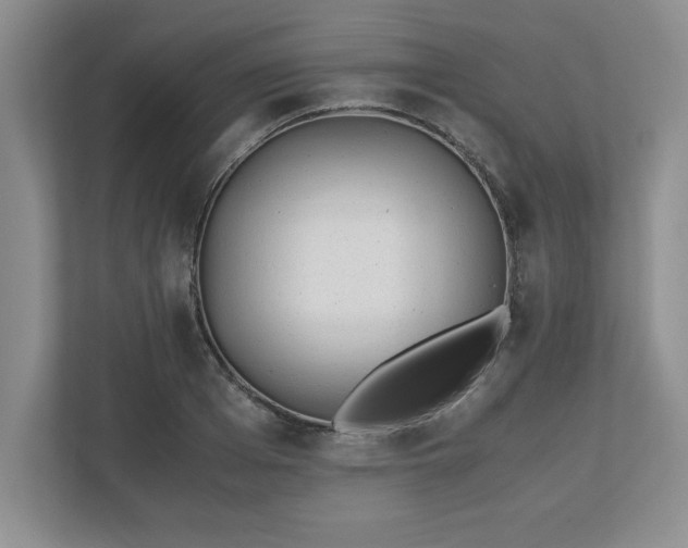 X0000110770985200906221138