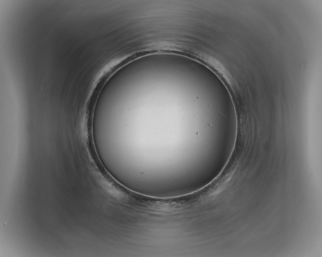 X0000110770987200906221138