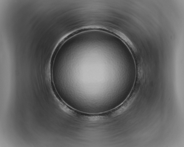 X0000110770988200906221138