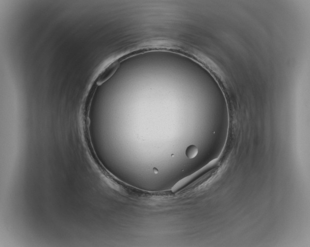 X0000110770989200906221138