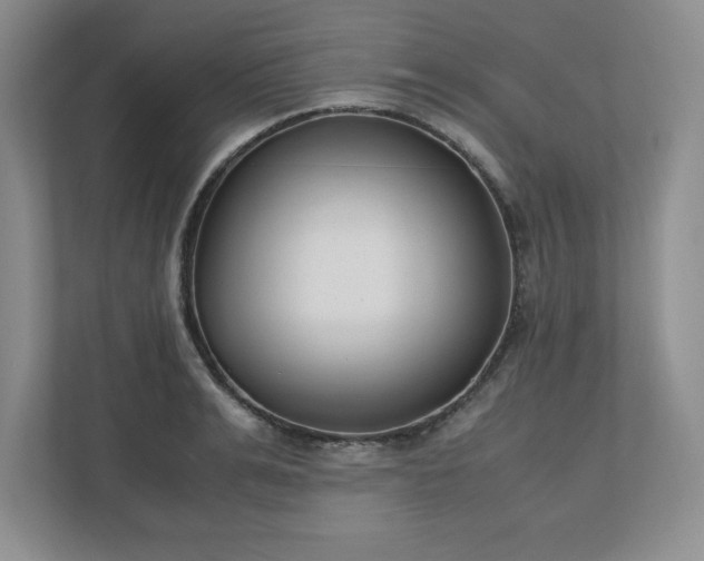 X0000110770991200906221138