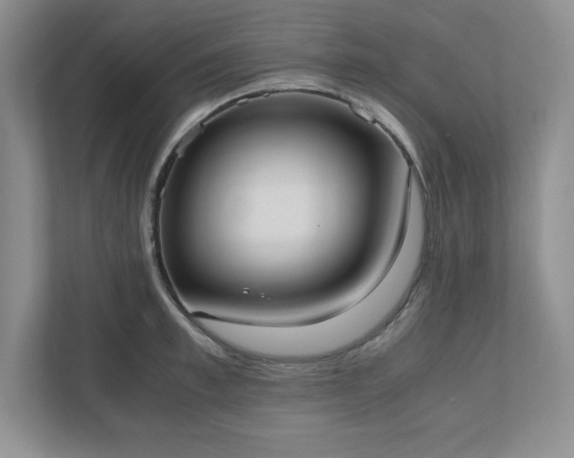 X0000110770997200906221138