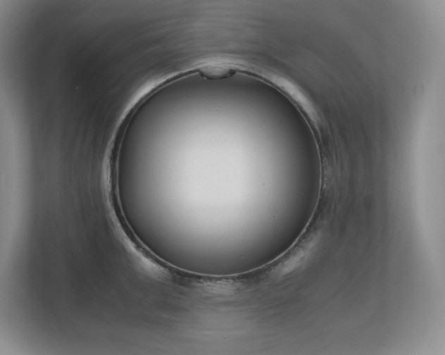 X0000110770999200906221138