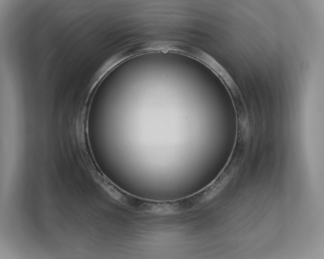 X0000110771002200906221138