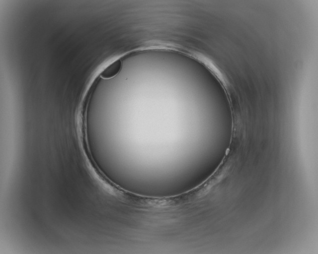 X0000110771003200906221138