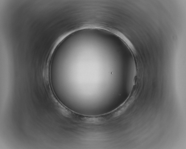 X0000110771004200906221138