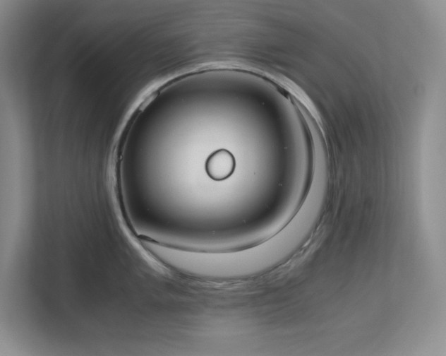 X0000110771005200906221138