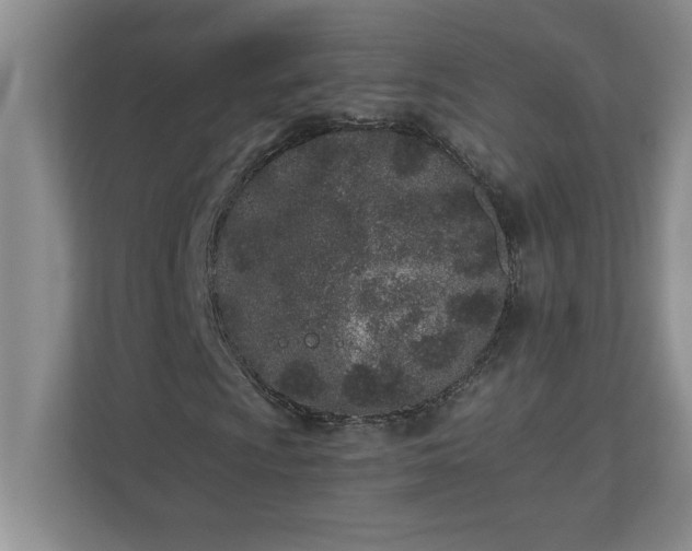 X0000110771009200906221138