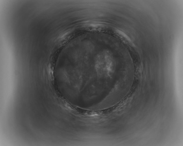 X0000110771013200906221138