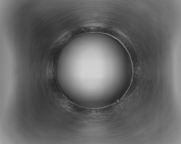 X0000110771014200906221138