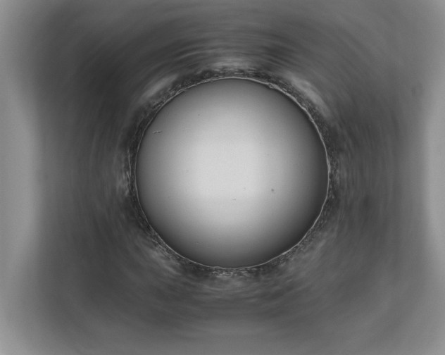 X0000110771015200906221138