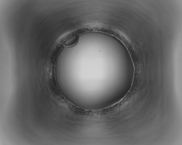 X0000110771016200906221138