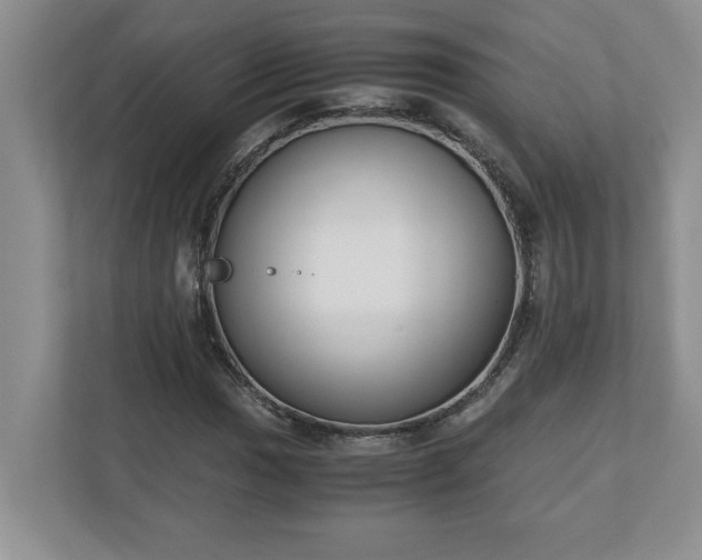 X0000110771017200906221138