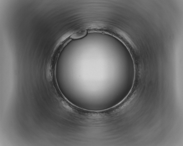 X0000110771018200906221138