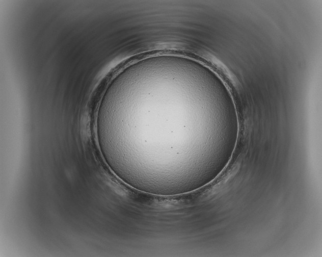 X0000110771019200906221138