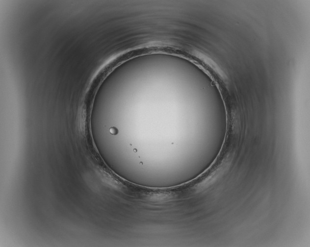 X0000110771021200906221138