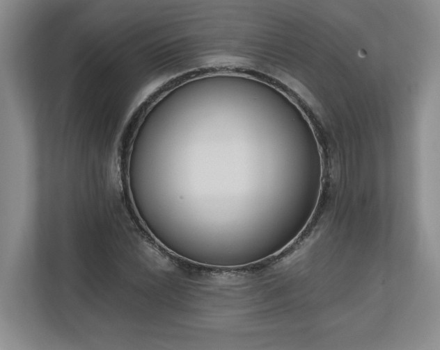 X0000110771022200906221138