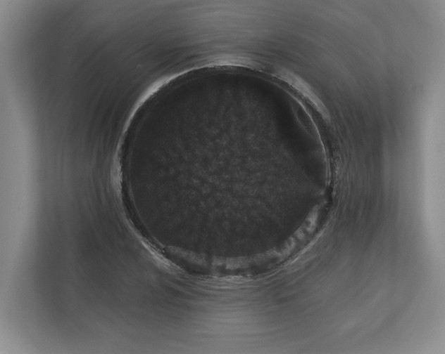 X0000110771024200906221138